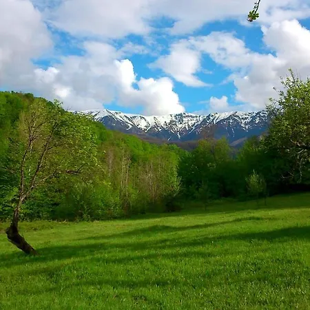 Pensiune Вила Маришница *