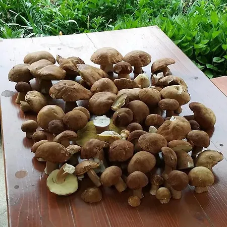 Вила Маришница